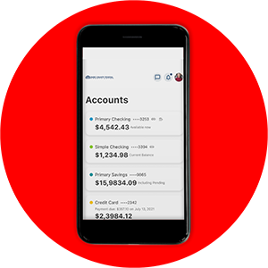 Smartphone with VISA account information