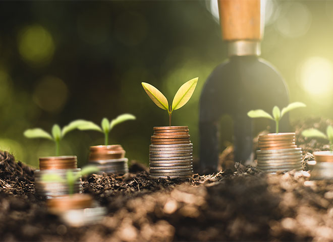 Seedlings growing on stacks of coins